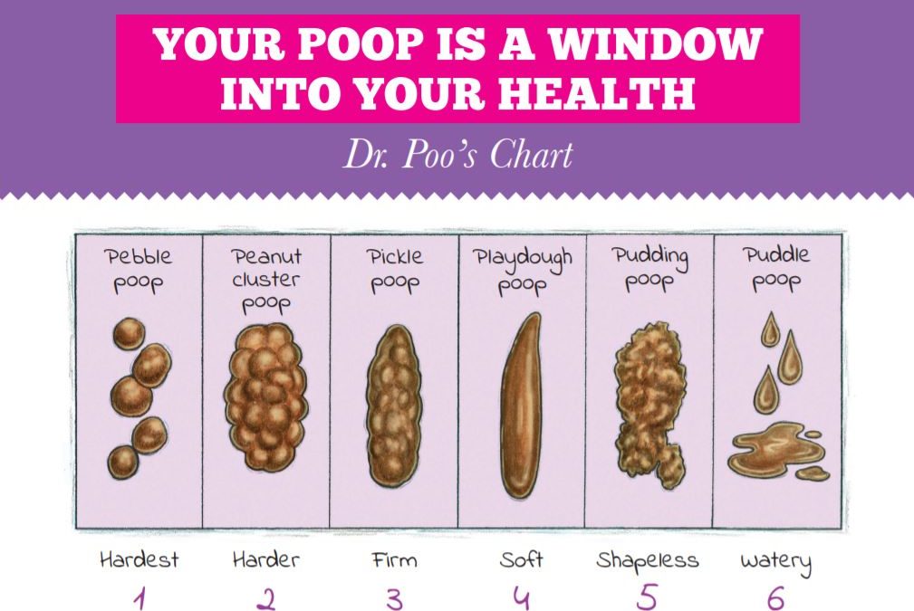 Nature's Calling Dr. Poo Chart