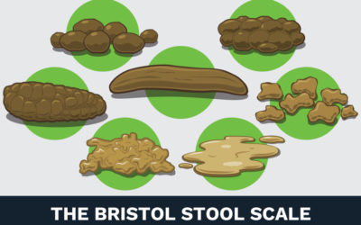 The perfect printable poop guide